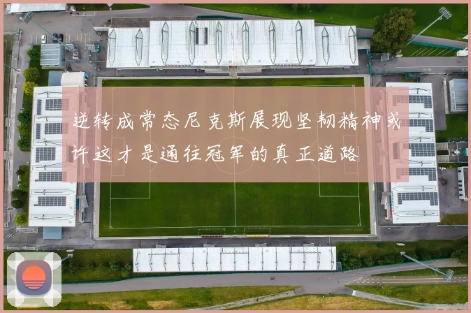 逆转成常态尼克斯展现坚韧精神或许这才是通往冠军的真正道路