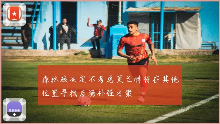 森林狼决定不考虑莫兰特将在其他位置寻找后场补强方案